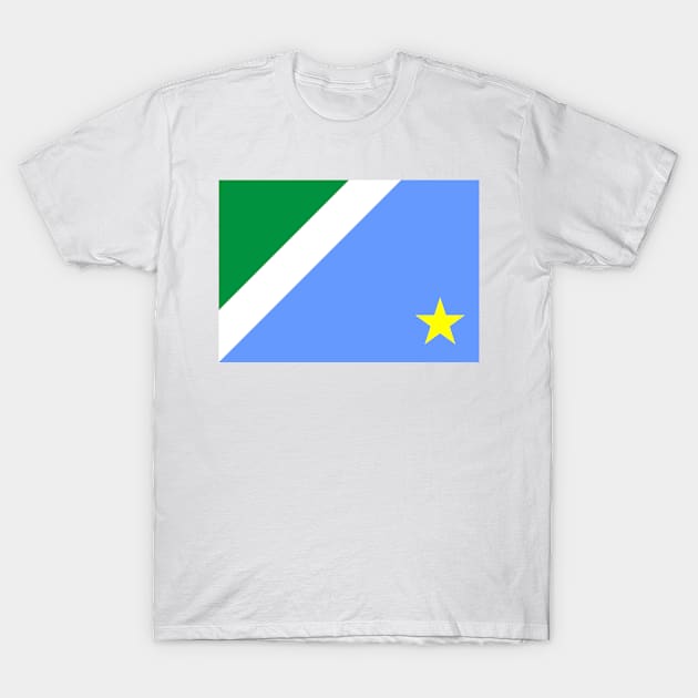 Flag of Mato Grosso do Sul (Brazil) T-Shirt by Ziggy's